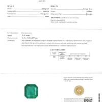 15.26 Ct.  Colombian Emerald ( Exceptional) 